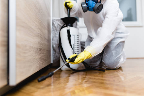 Best Emergency Pest Control  in Vidalia, GA