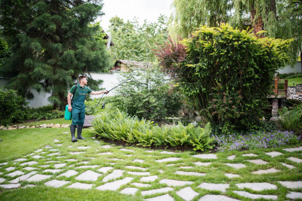 Best Ant Control Services  in Vidalia, GA