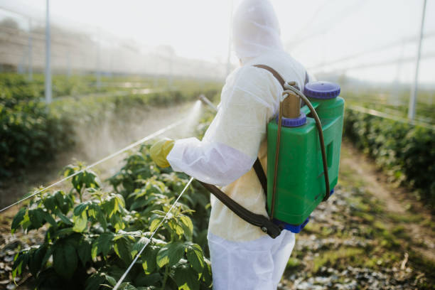 Best Pest Prevention Services  in Vidalia, GA